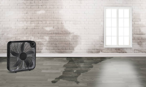 Best Basement water damage restoration  in Arlington Heights, PA
