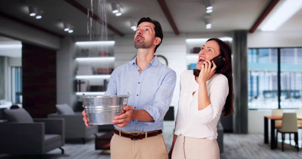 Best 24/7 water damage repair  in Arlington Heights, PA